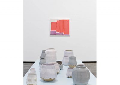 Specific Shapes installation view (with Derek Root painting), Monte Clark Gallery, 2015